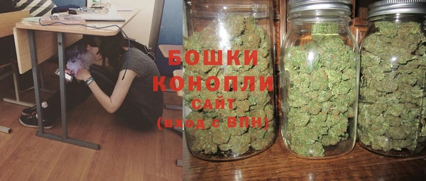 прущие грибы Арсеньев